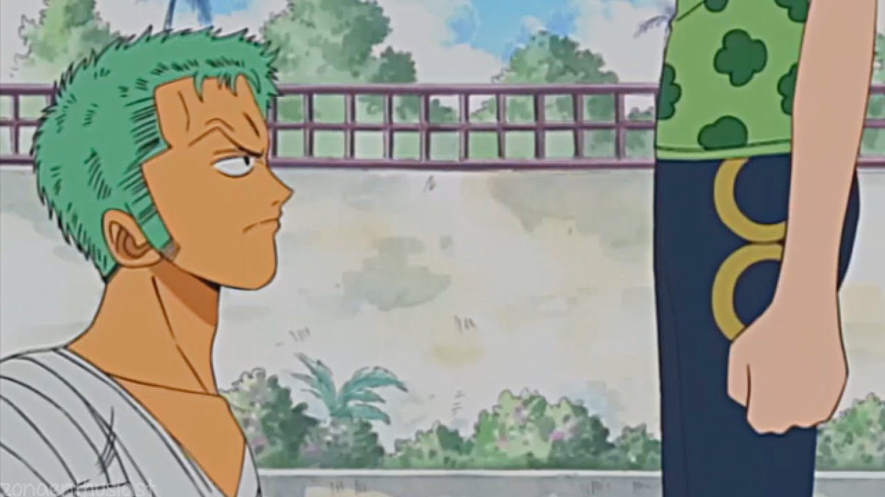 Zoro & Nami | For Cryin' Out Loud!