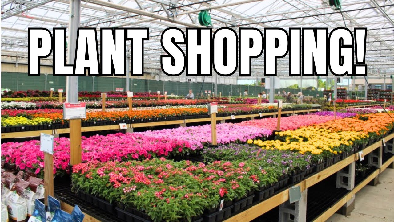 🌻 PLANT SHOPPING || Garden Nursery Tour - Green Acres || Garden Center || Plant Nursery Tour