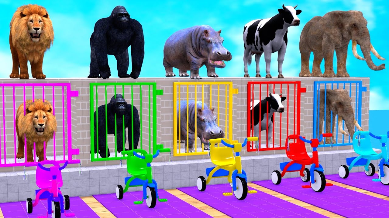 5 Giant Duck Cartoon. Paint Animal:Cow Elephant Tiger T-Rex Crossing Fountain & Guess The Right Door