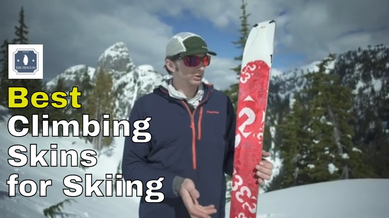Best Climbing Skins for Skiing - Skiing