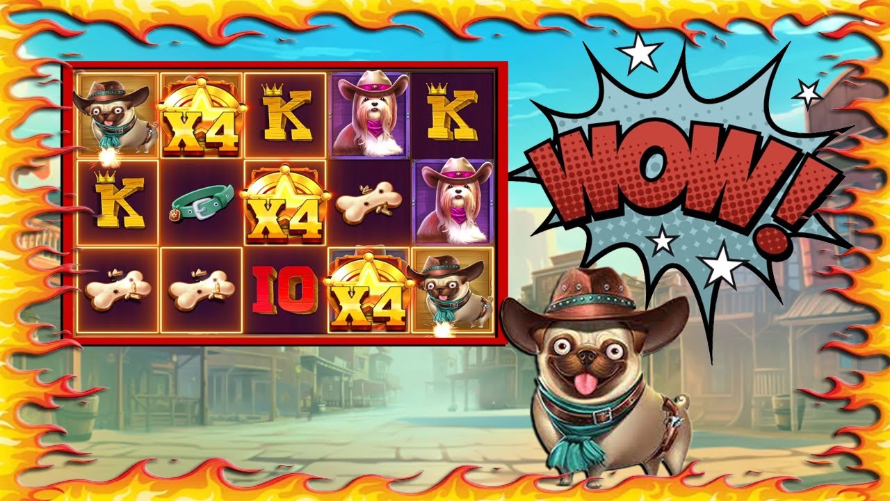 Can Dog or Alive Save the Bonus Hunt? 🐶🎰