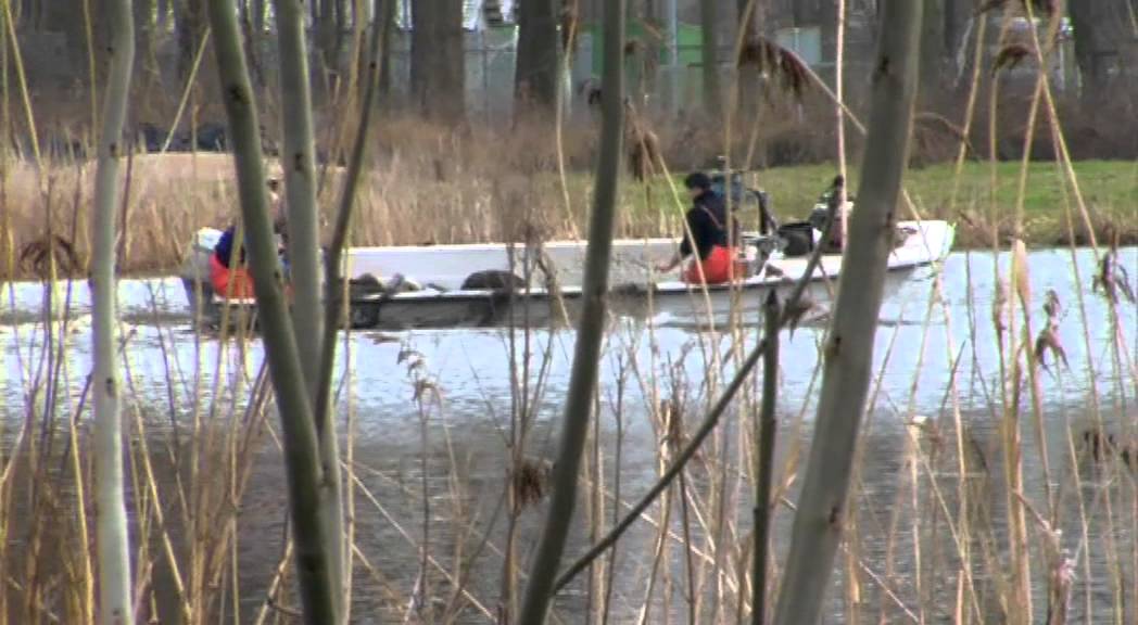 Hoeveel vissen zitten er in het Beatrixpark Schiedam ?