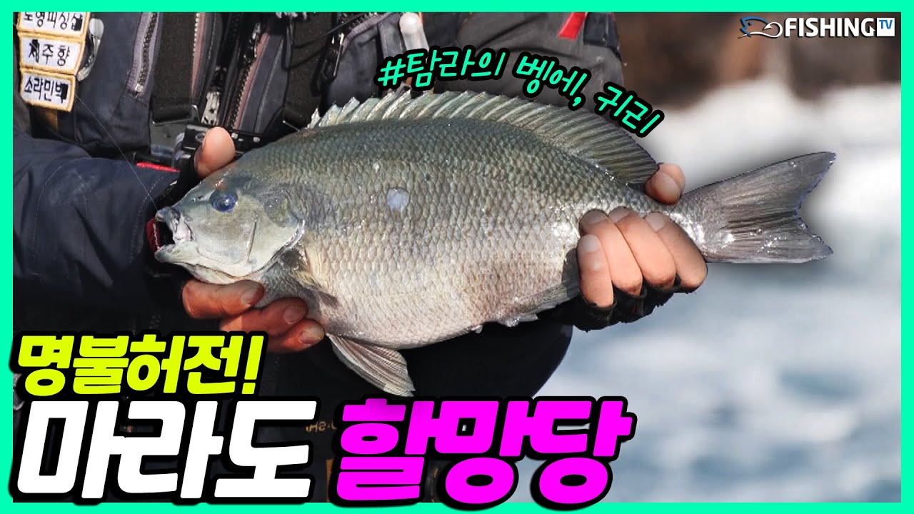 악조건 속 대물에 도전하다! 명불허전 포인트, 마라도 할망당📍 [귀리 23회] | 피싱TV