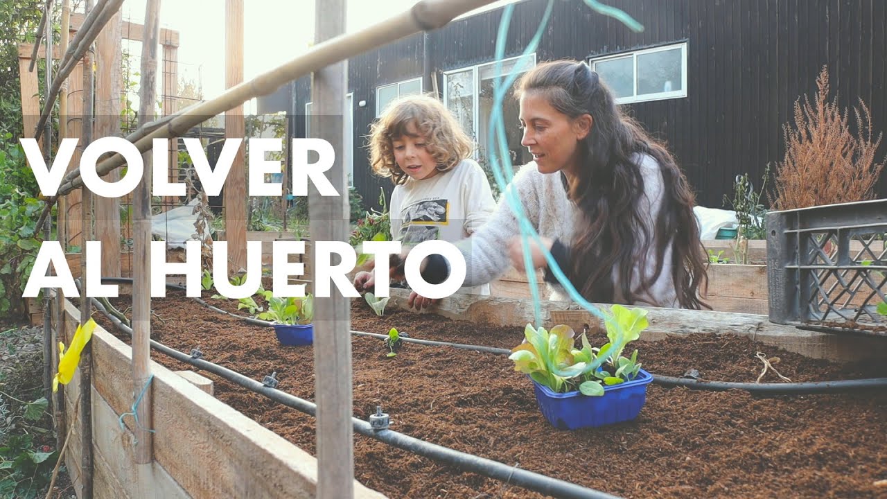 Volver al Huerto | Cultivamos lo que vamos a comer en Invierno #Hojas #Zanahorias y #Puerros