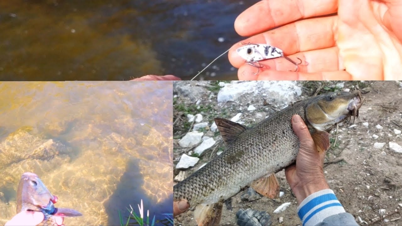 #Kasna ve bıyıklı avı, yap ve tut