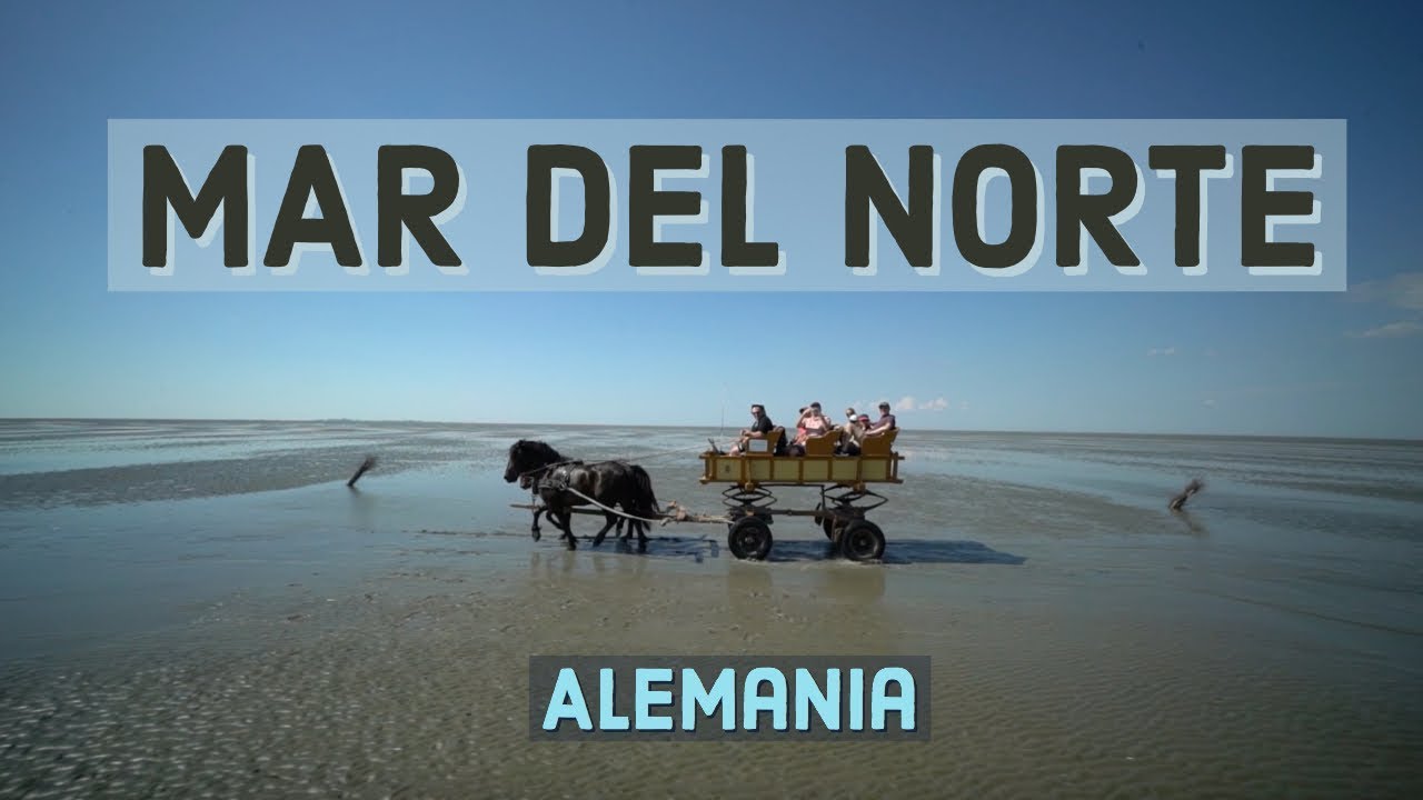 MAR DEL NORTE, la costa más salvaje de Alemania