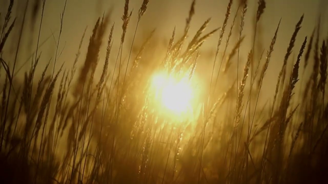 Godsky -  Lyricless Instrumental Music Choir Music - Relaxing Music