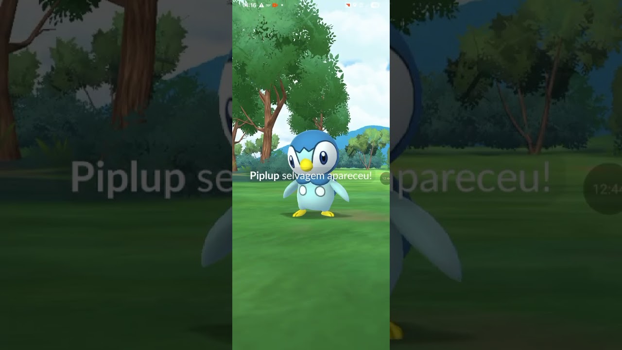Dia comunitário do piplup! Pokémon go ep 2