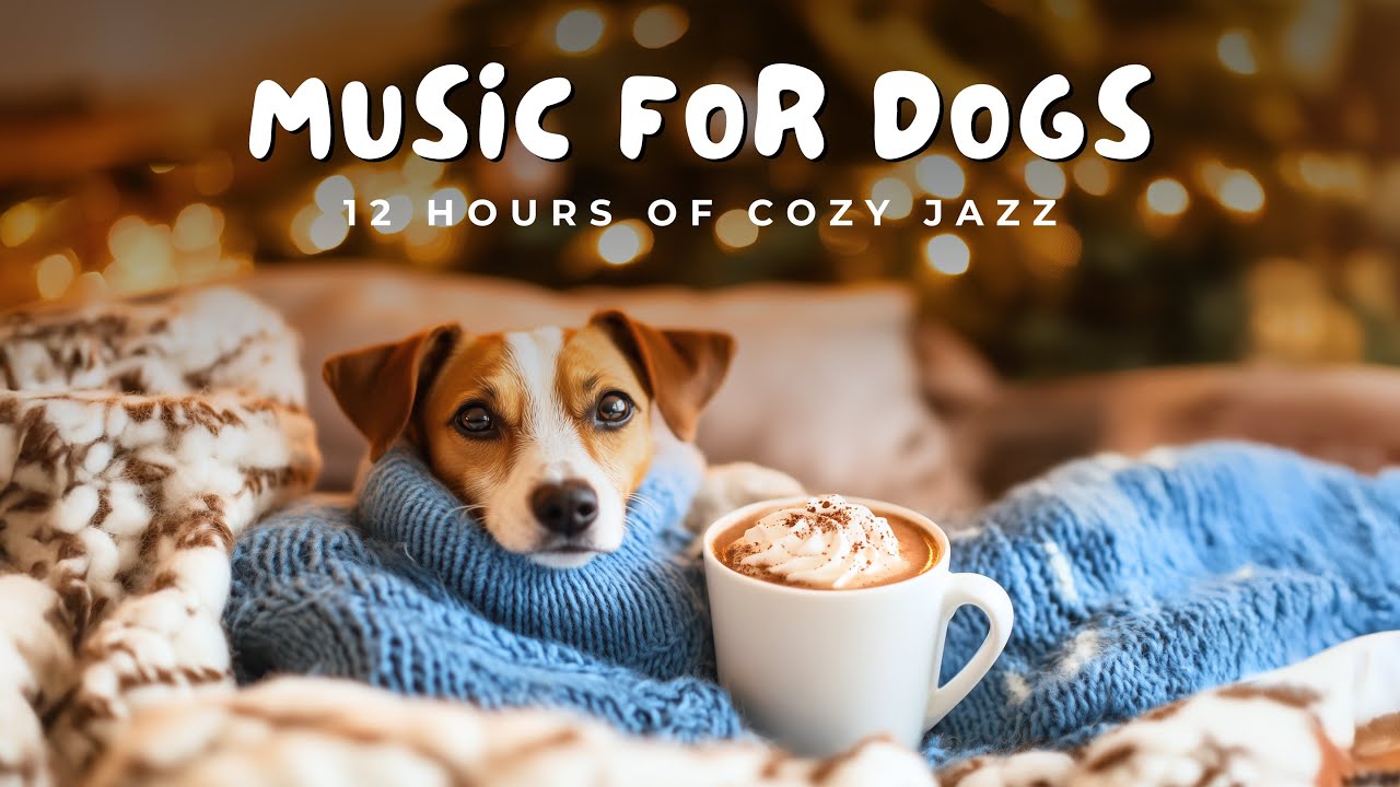 🧣 12 Hours of Cozy Sweater Weather Music for Dogs | 🎷 Calming Jazz & Relaxing Vibes