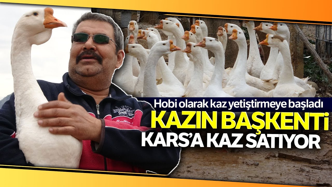 Hobi Olarak Başladı, Kazın Başkenti Kars'a Kaz Satıyor