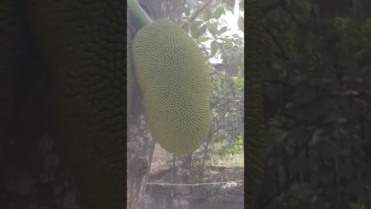 ME I SIERON PASAR UN CORAJE
