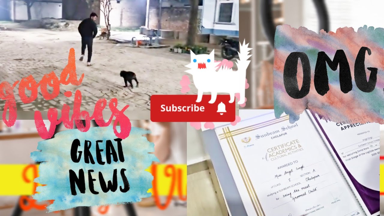 Brado ne aaj bahot मस्ती की |daily vloging #viral #puppy #dogslover 