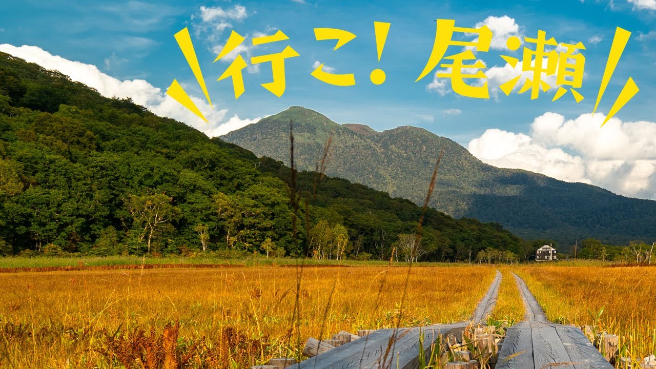 尾瀬を満喫！ 鳩待峠から大清水へ 一泊二日で山小屋泊 ハイキング＆登山の旅【ヤマスタツアー】Oze