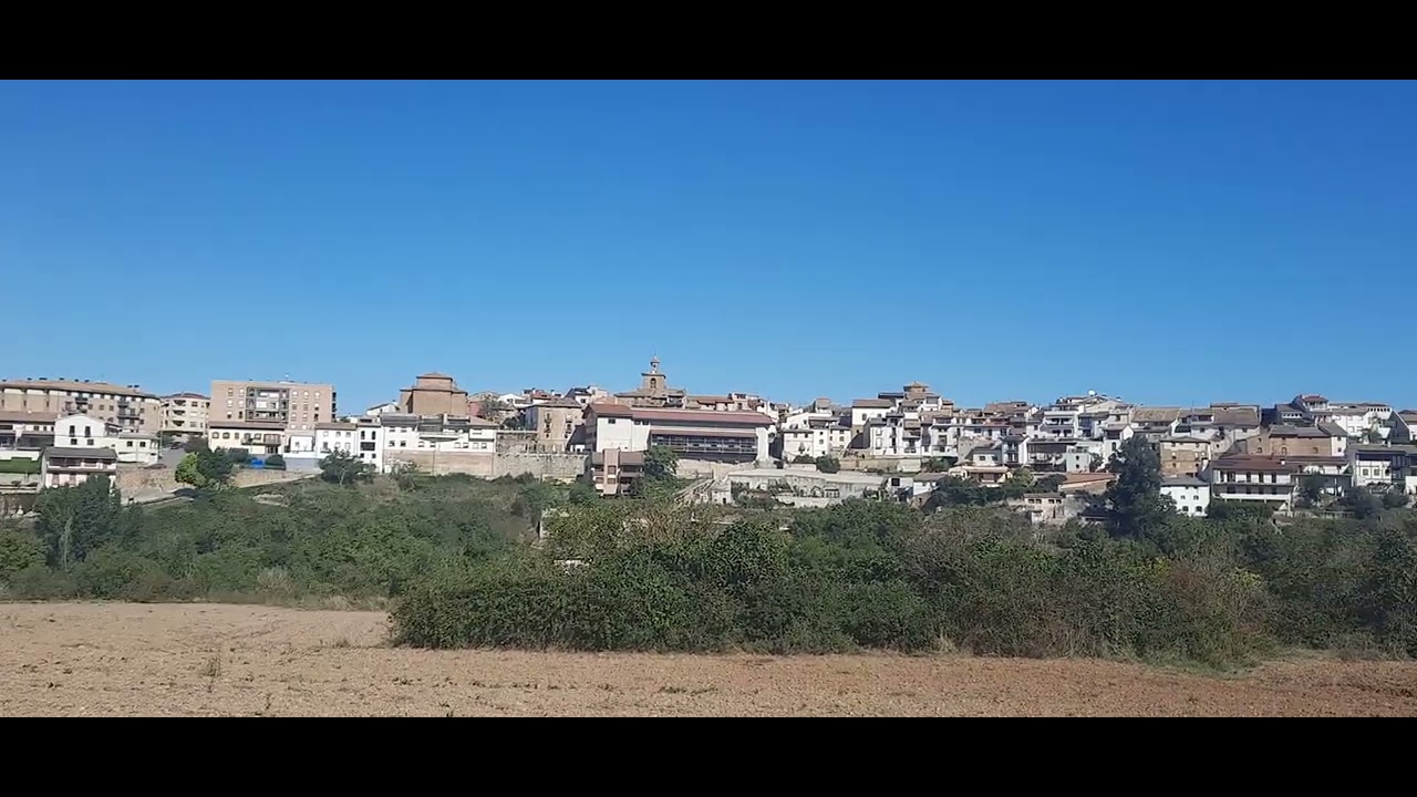 Lumbier-irunberri