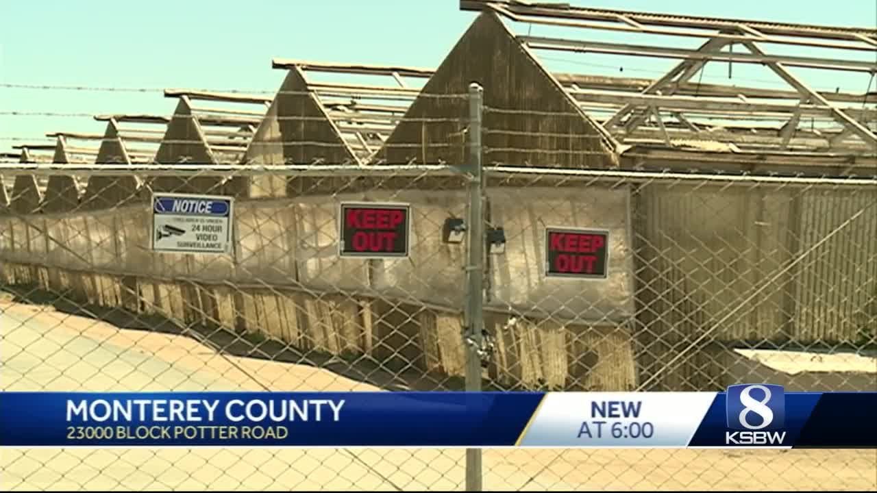 Pot farm robbery raises more than cannabis concerns