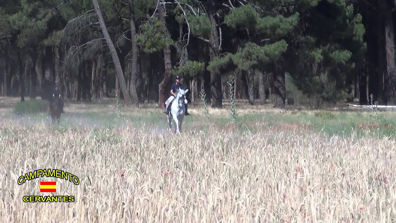 Pasándolo bien a caballo