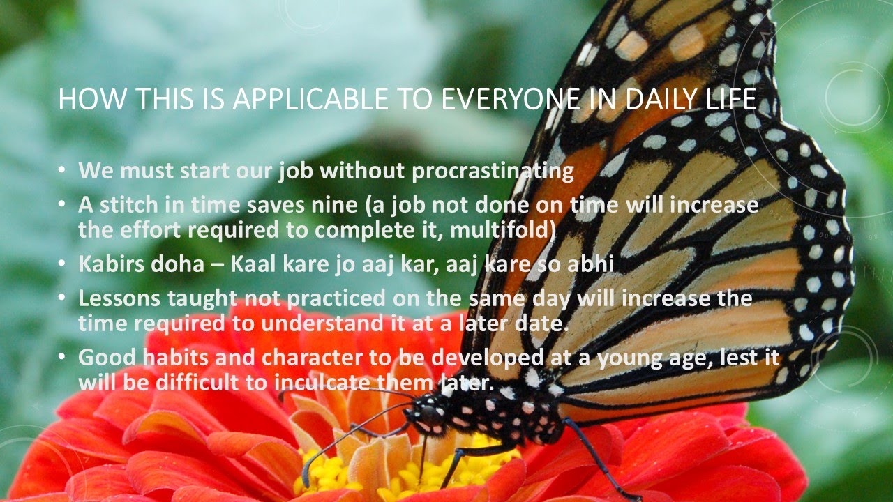 The Butterfly Effect - Nidhi