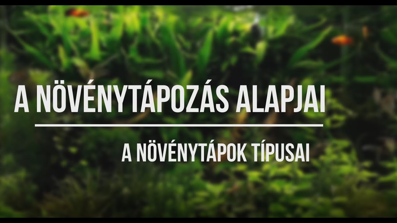 A növénytápozás alapjai - növénytápok típusai