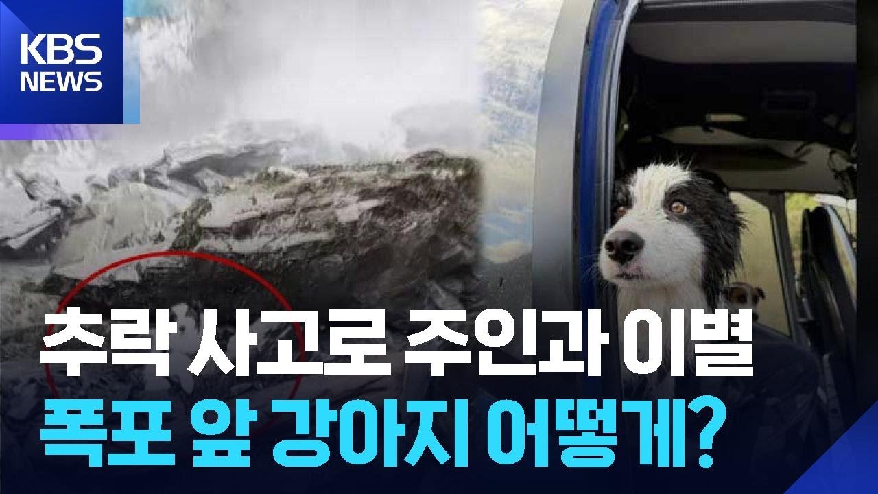 폭포 사고로 주인과 생이별 반려견&hellip;온정의 구조 헬기 [잇슈 SNS] / KBS  2026.04.06.
