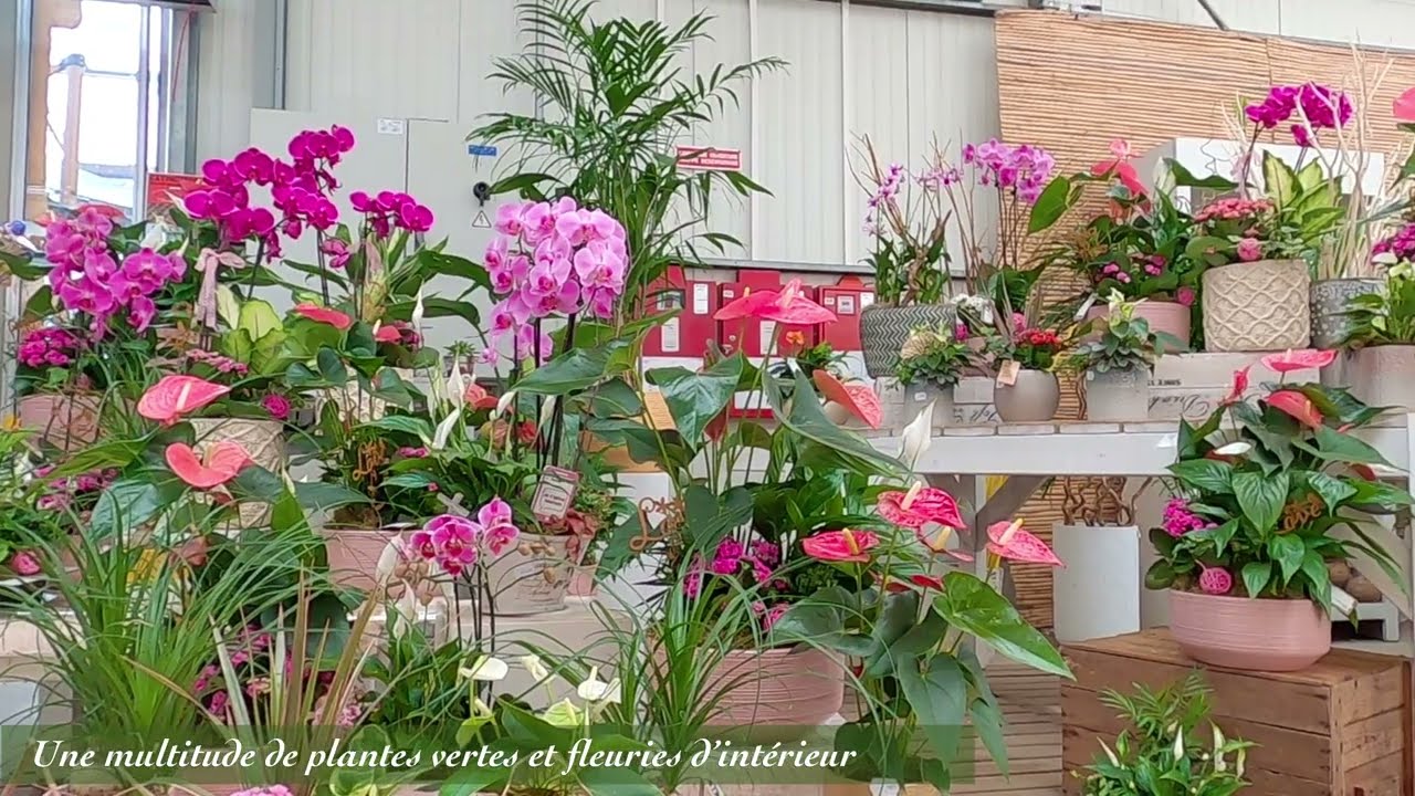 Partez &agrave; la d&eacute;couverte des Serres d'Angresse