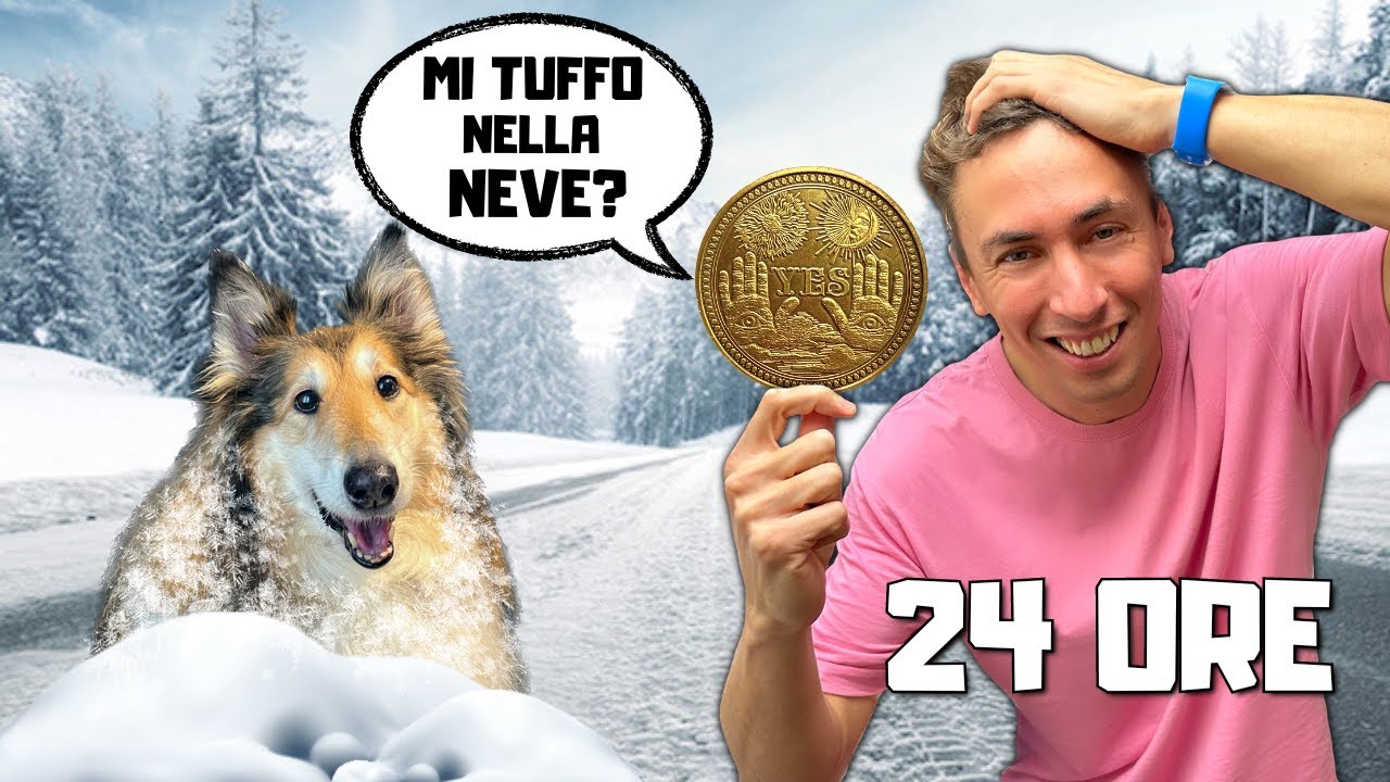 UNA MONETA CONTROLLA I MIEI CANI PER 24H