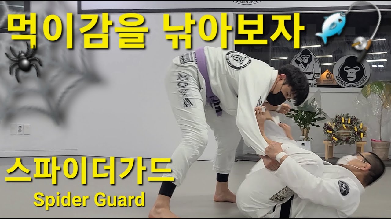 스파이더가드 Spider Guard (기술도움 : 강진구) #스파이더가드 #SpiderGuard