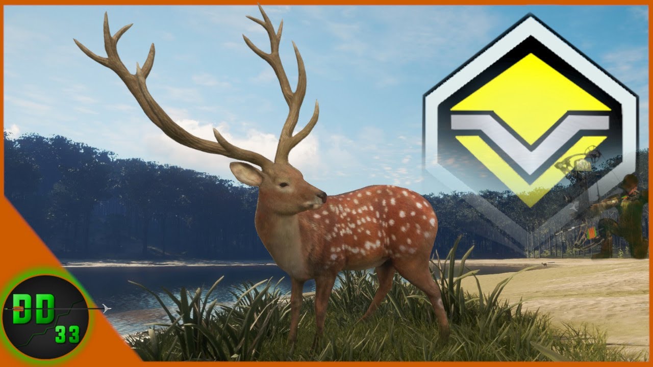 The Most Beautiful Diamond I’ve Ever Seen! Call Of The Wild