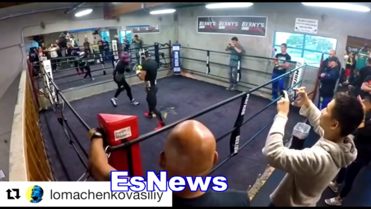 Boxing vs UFC Lomachenko Sparring TJ Dillashaw