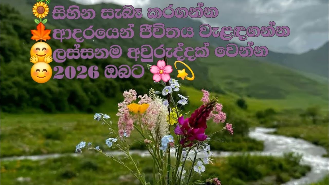 Dilu Dodangoda  is live