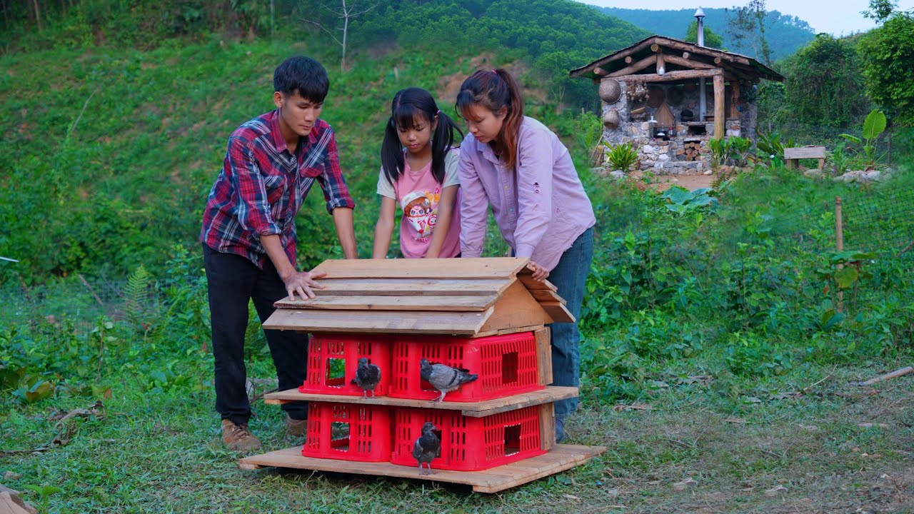 Family Of Three Build Pigeon House + How To Making Pigeon House + Life Off Grid