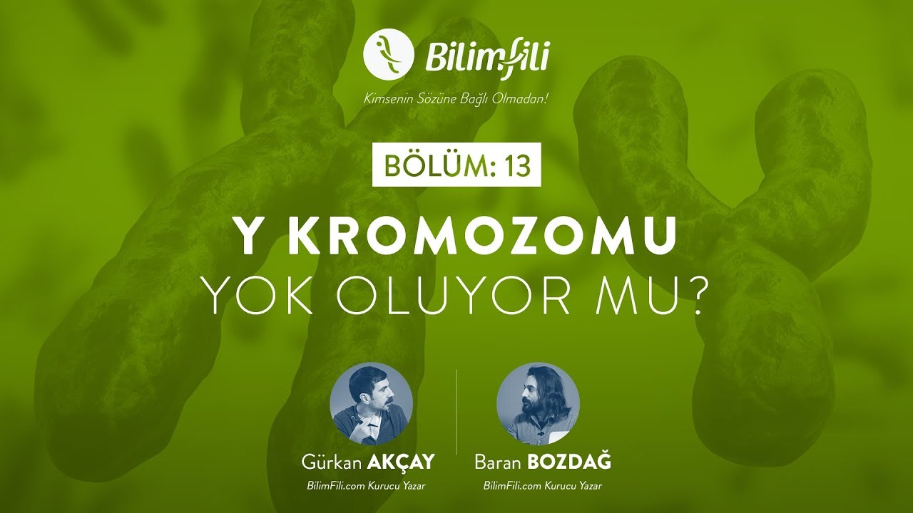 BilimFili Podcast 13: Y Kromozomu Yok Oluyor Mu?