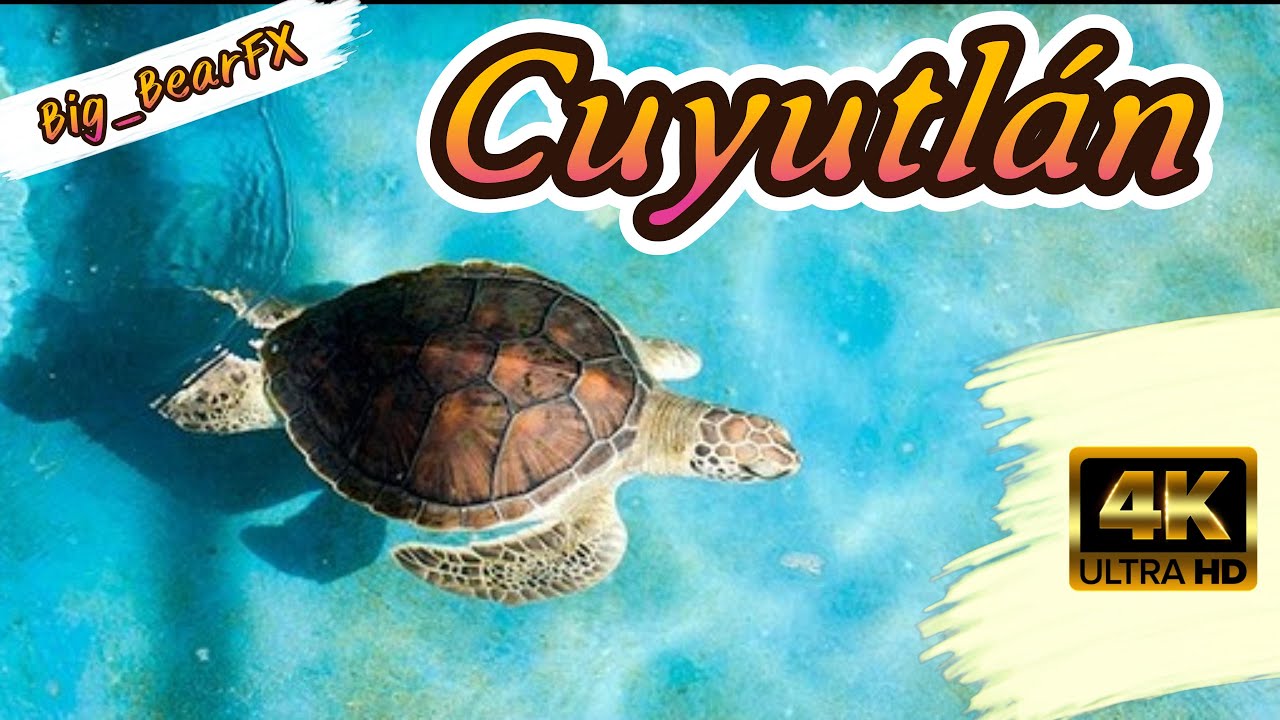 🐢 El Tortugario de Cuyutlán 4K | Colima, México