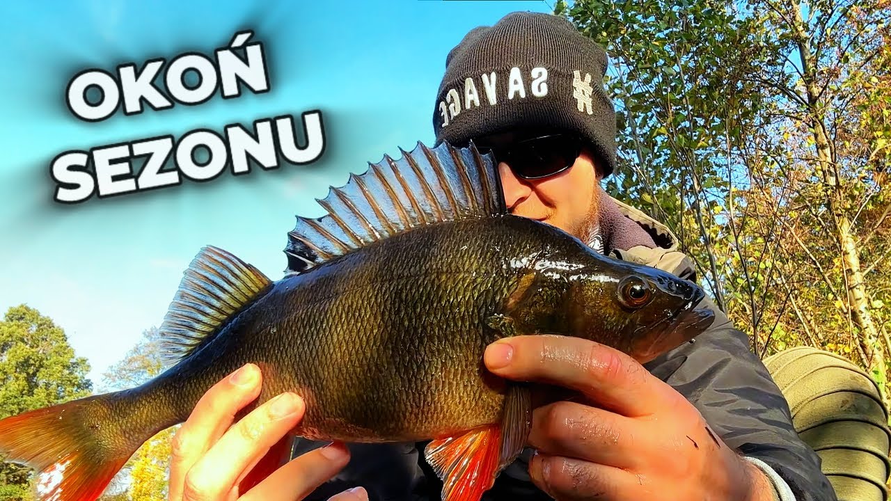 6 Jesiennych Łowisk – Spinning w Listopadzie i Okoń Sezonu!