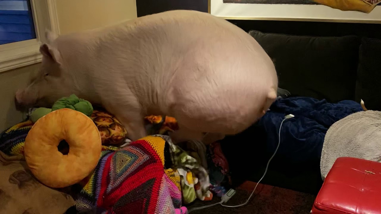 This is my spot.