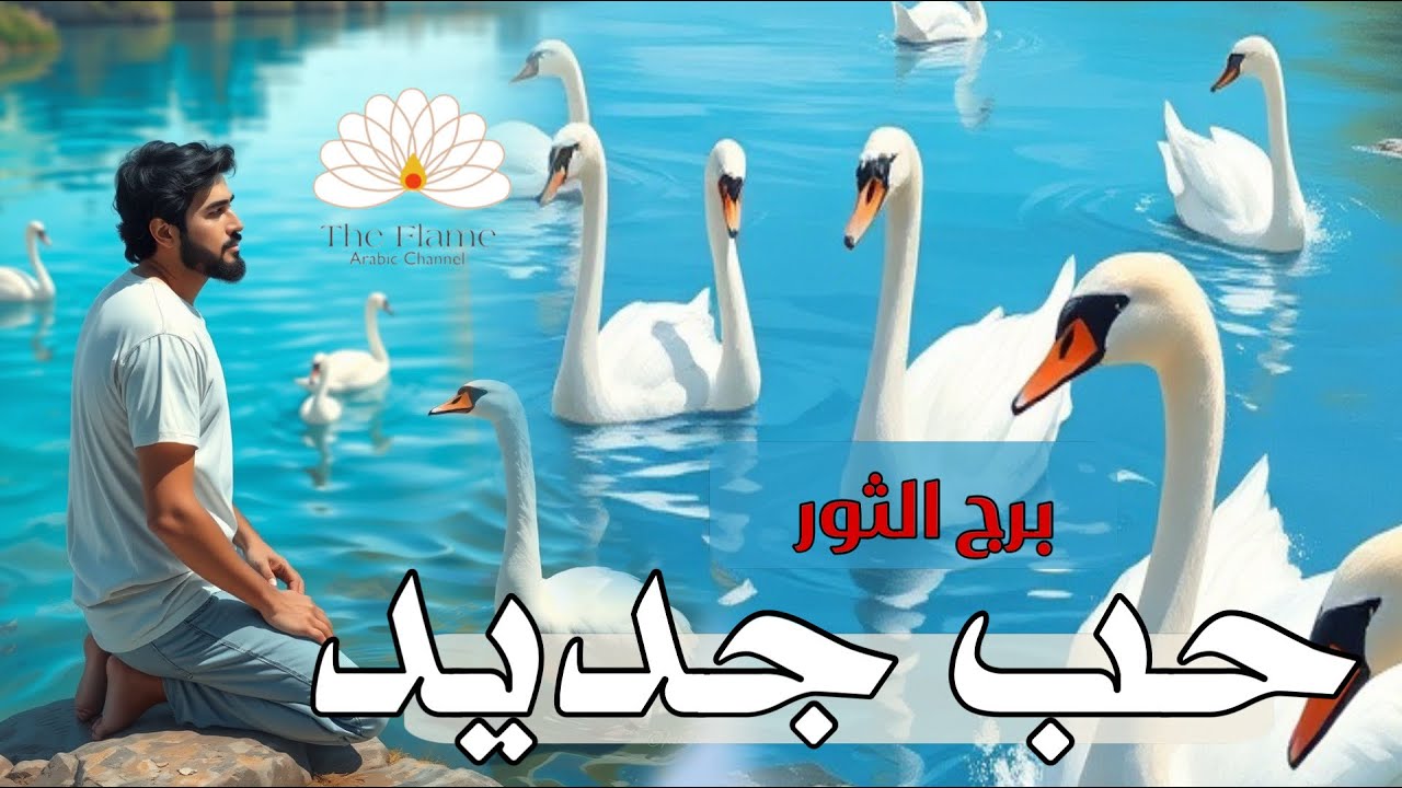 برج الثور ؛ توقعات حياتك العاطفية للمرحلة القادمة بطاقة مفتوحة