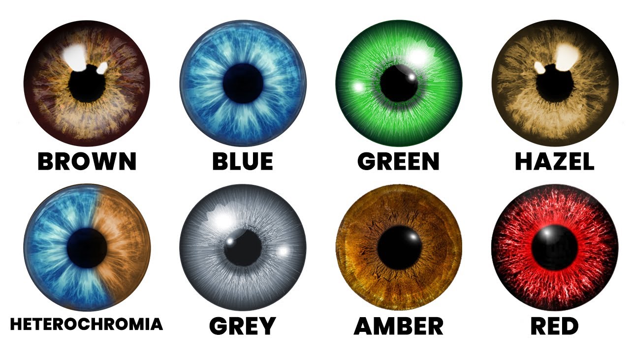 The 8 Hidden Advantages of Different Eye Colours