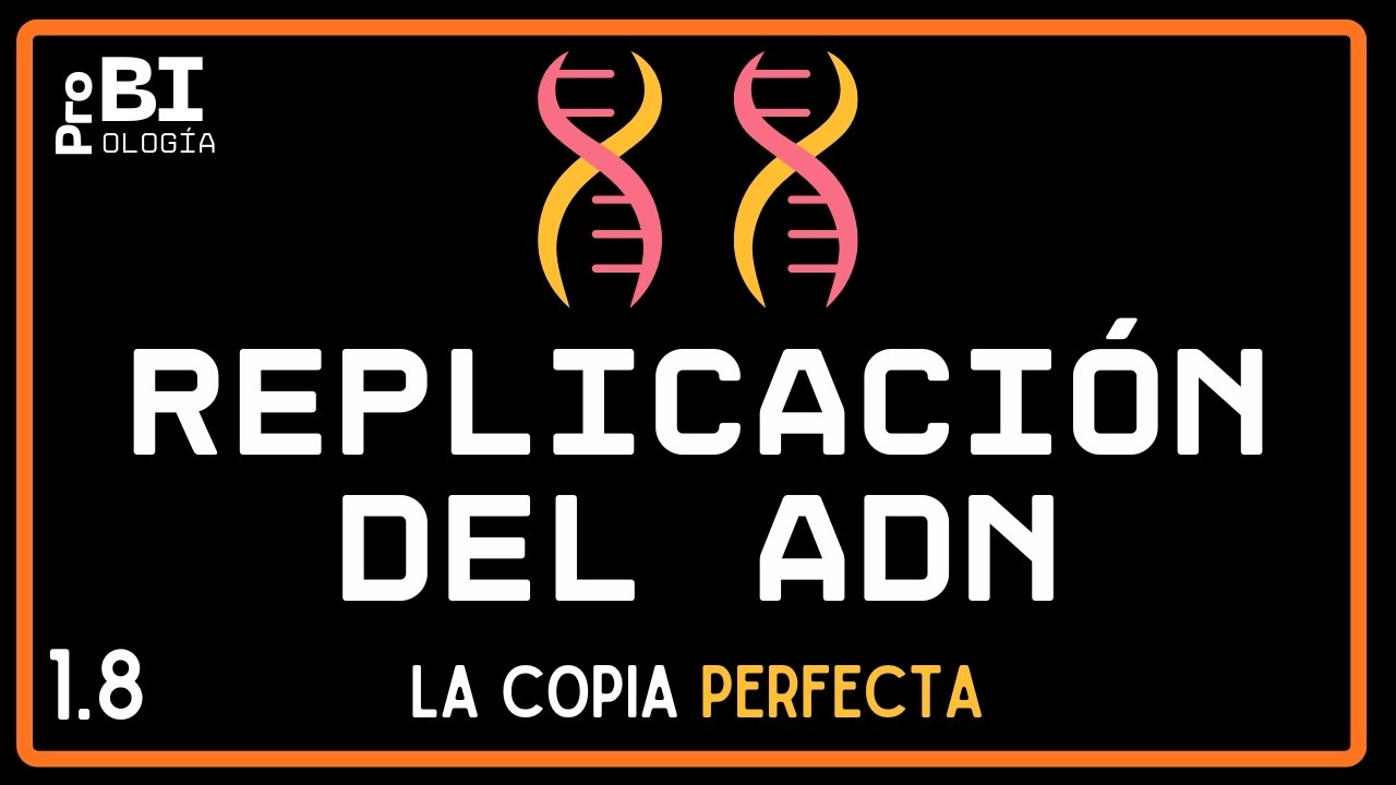 1.8. REPLICACIÓN DEL ADN (NM) Bachillerato Internacional Tema D1.1
