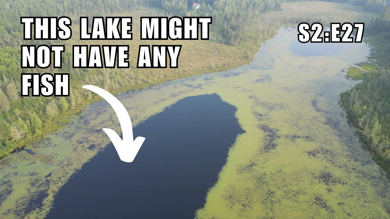 Does This Tiny Deep Lake Contain Any Fish?