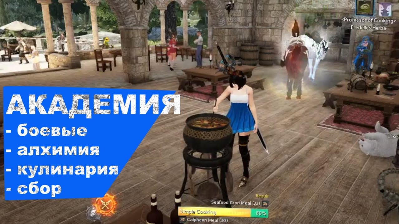 Дракания и Академия Оливии | Black Desert eu
