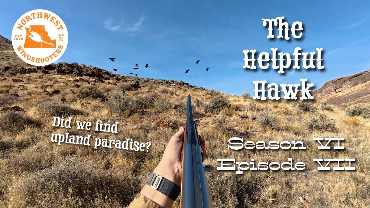 Did we find upland paradise? - The Helpful Hawk - Season VI Episode VII