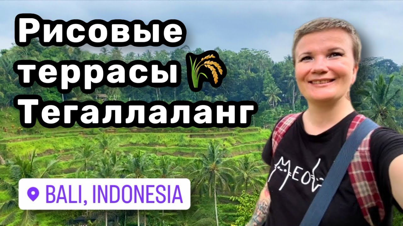🌾 18. Рисовые террасы Тегаллаланг – отправляемся в новое приключение! Духи работают. Поцелуй Бали.
