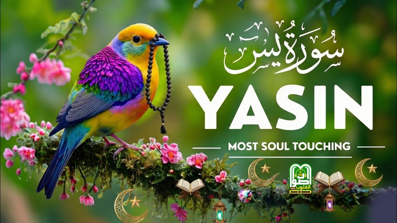 Surah Yaseen – A Peaceful Night for the Heart 🌙 Sleep with Peace in Your Heart