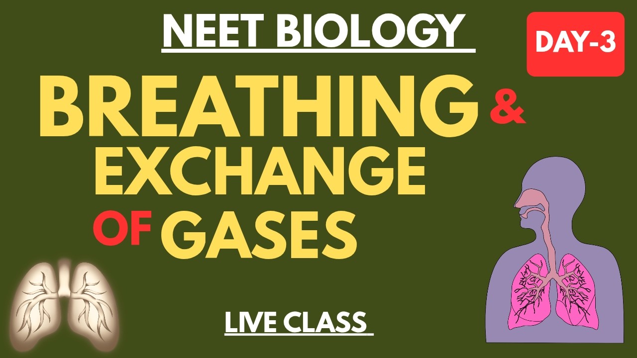 NEET Biology | Breathing & Exchange of Gases One Shot 🔥 | Class 11 Biology | NEET 2026 Preparation