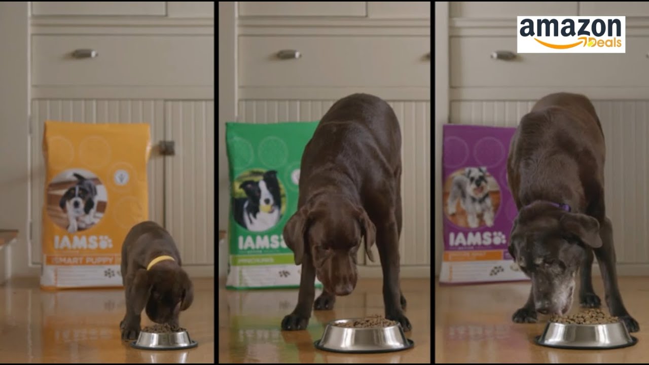Iams Dry Dog Food (Amazon Deals)