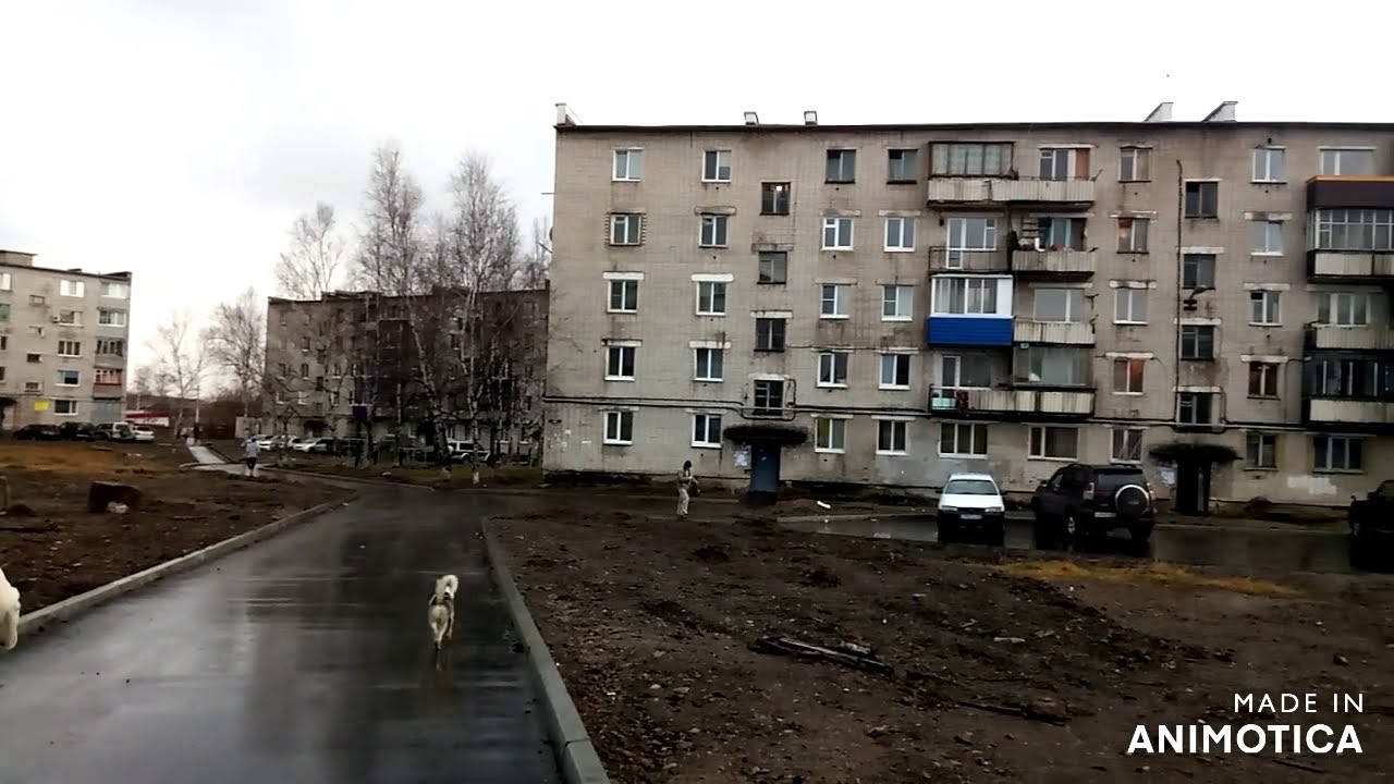 Природа и пос. Таёжный, Хабаровский край, Комсомольск на Амуре.