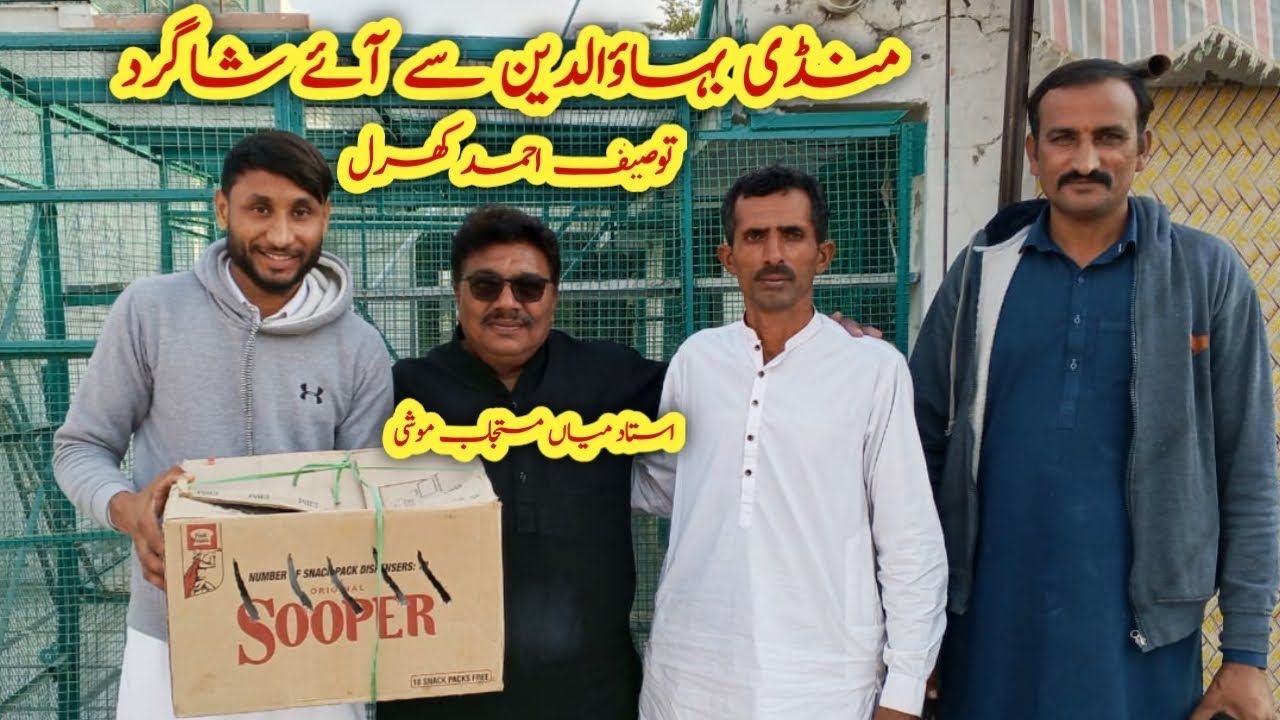 Mandi Bahauddin Se Shagird Shoq k Loye Agaye | Ustad Mian Mustajab Moshi