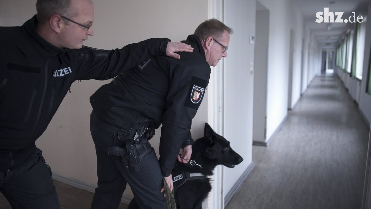 Freund und Helfer mit Biss - Zu Besuch bei der Hundestaffel