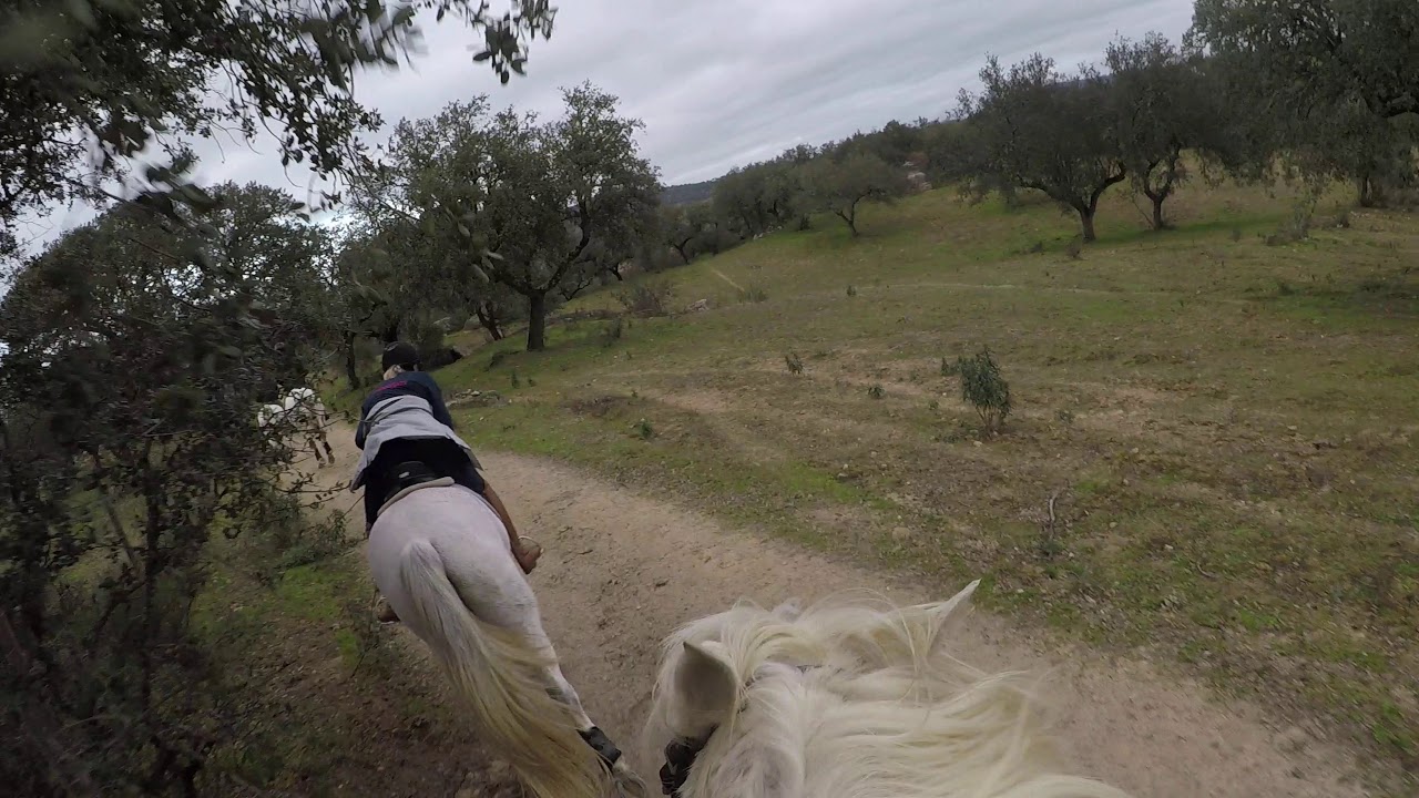 Nice curvy canter in our hack in Monte Velho, Portugal