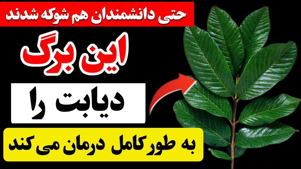  این برگ به کاهش قند خون و درمان دیابت و حمایت از سلامت عروق کمک می‌کند (چرا  پزشکا نمیگن !)