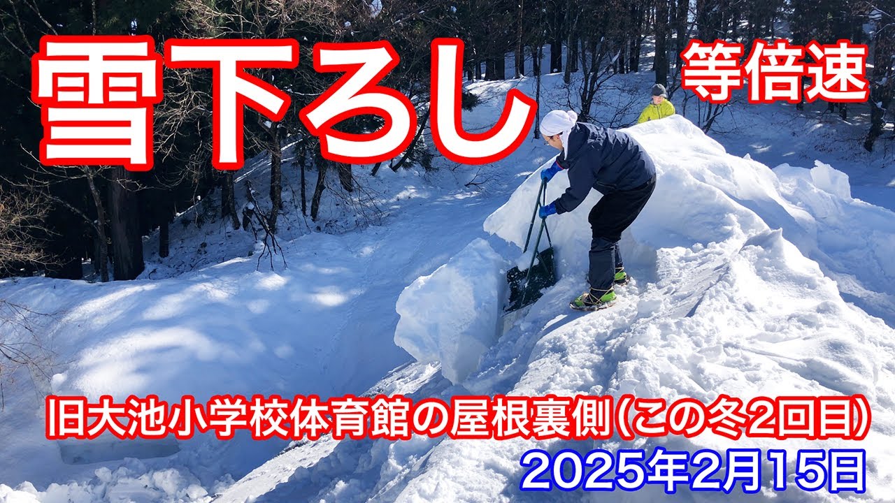 《等倍速/カメラ2》寒波の合間、天気の良い日に雪下ろし《旧大池小学校体育館の屋根裏側》新潟県十日町市大池（2025年2月15日）この冬2回目の雪下ろし #snowremoval